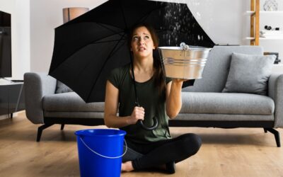 Pourquoi faire appel à un expert en dégâts des eaux ?