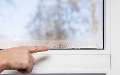 Humidité, moisissures, infiltrations : quand faut-il faire appel à un expert d’assuré ?